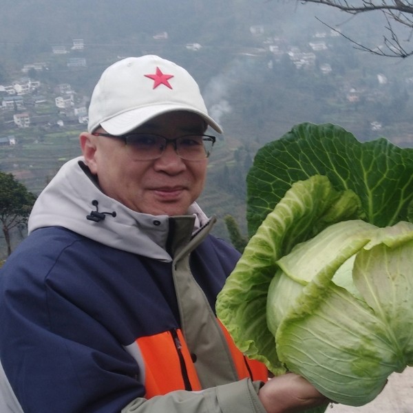 会员800934284的照片