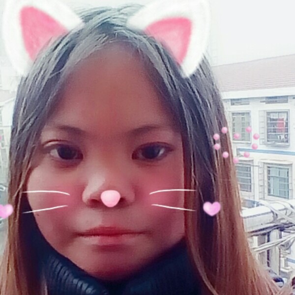 12685588的照片