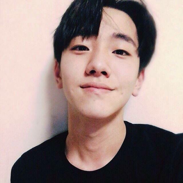 优美蹙眉砖头的照片
