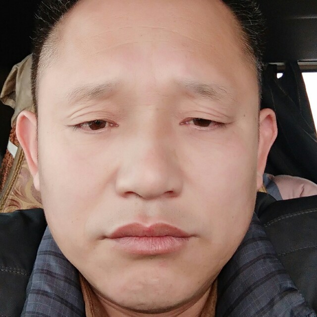醉熏毛豆假式的照片