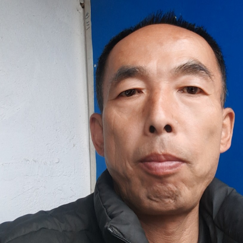 明亮倾心逐风的照片