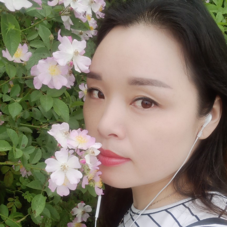 钻石回首完美的照片