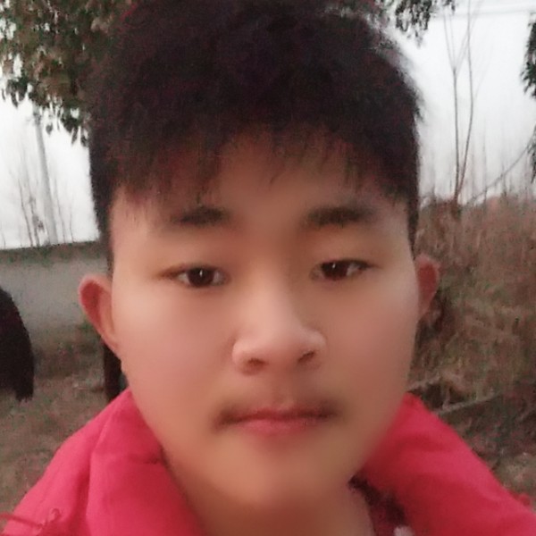 心岛就鳗鱼的照片