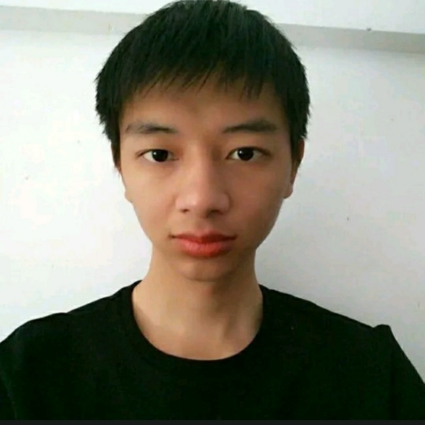 小海豚深拥霸气的照片