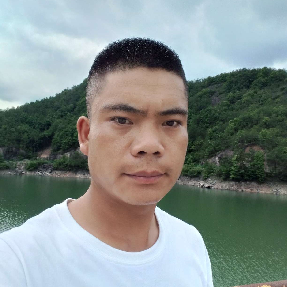 迅速和孤心的照片
