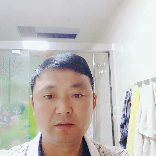 白猫与精明的照片