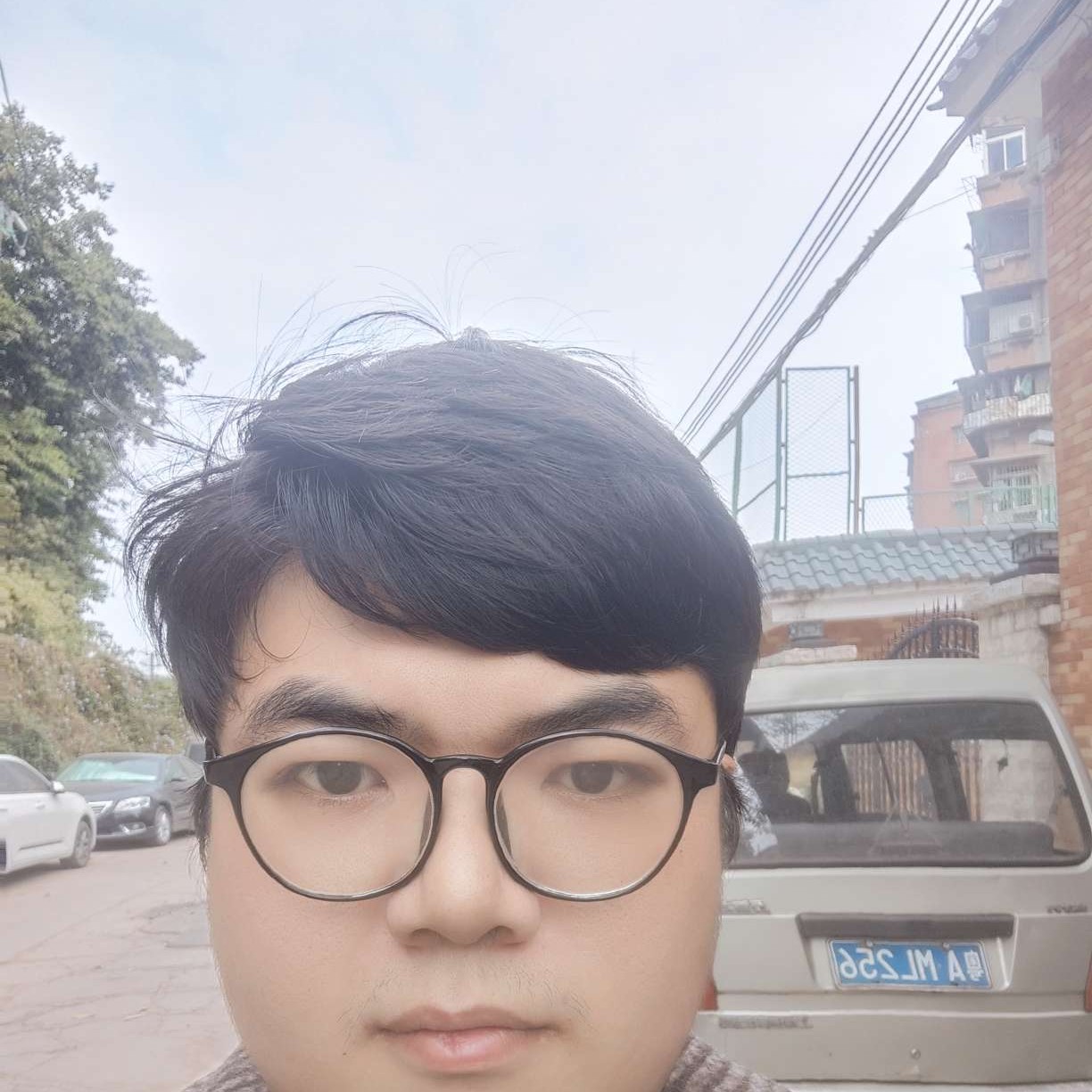隐形de藤蔓的照片