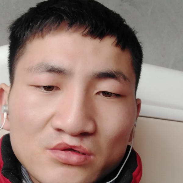 枯叶蝶飞的照片