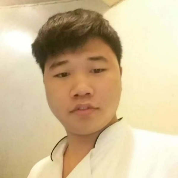 生动灰狼的照片