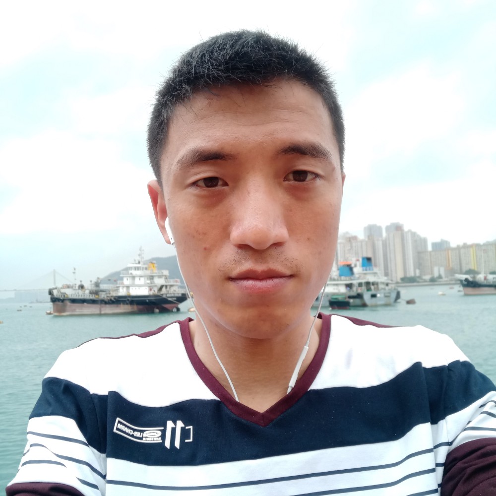 悦耳飞鸟的照片