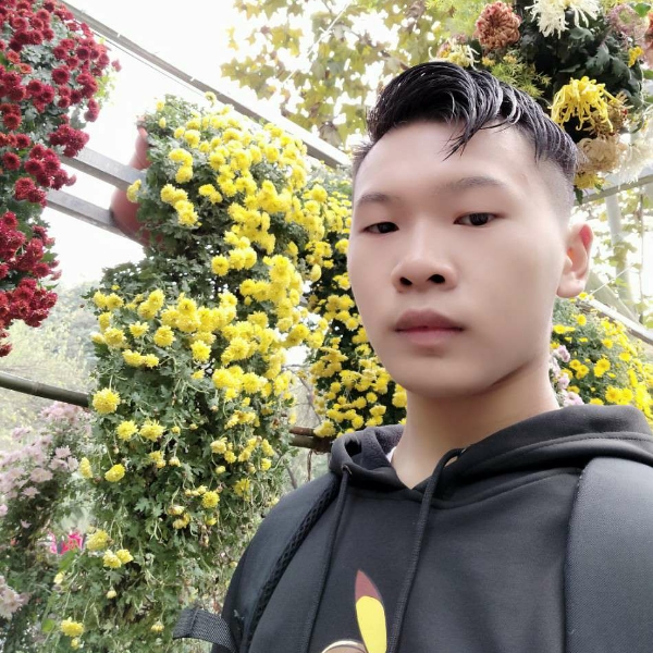 还是你的我的照片