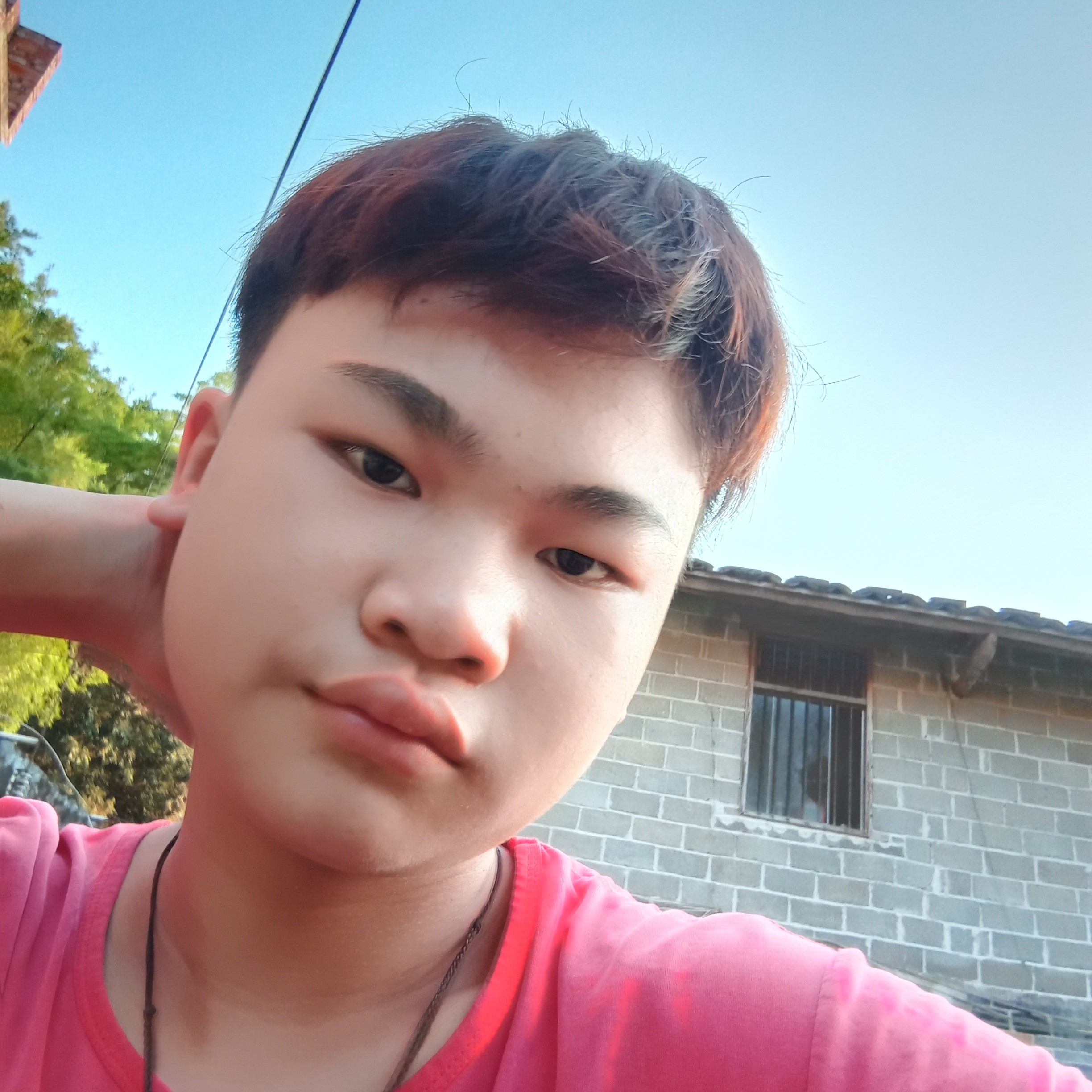 粗犷与海燕的照片
