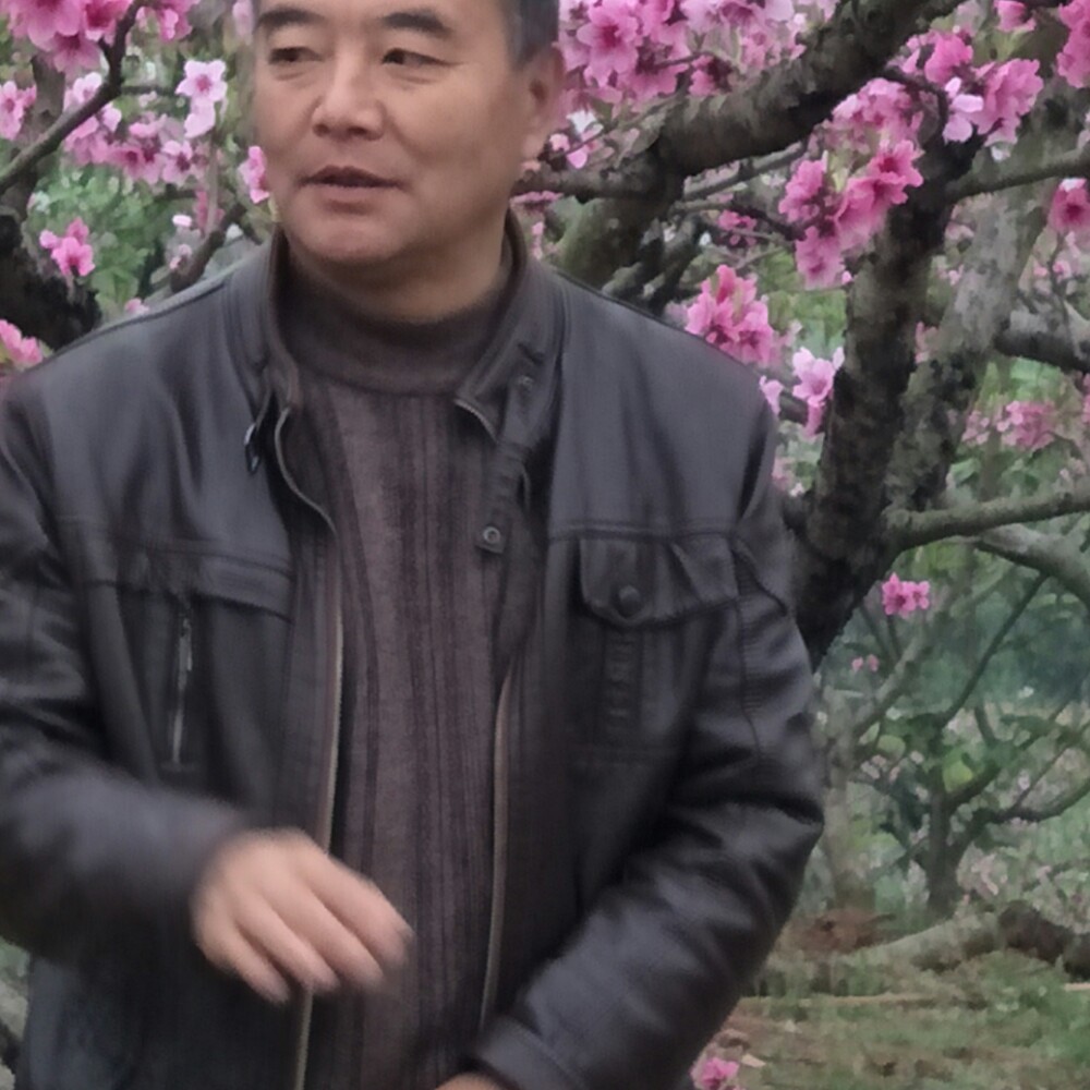 会员178841818的照片