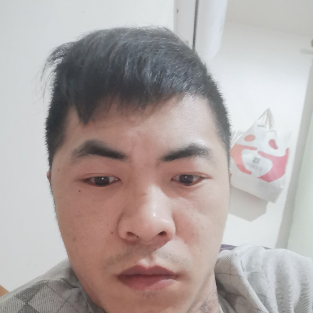 麦片演变寂寞的照片