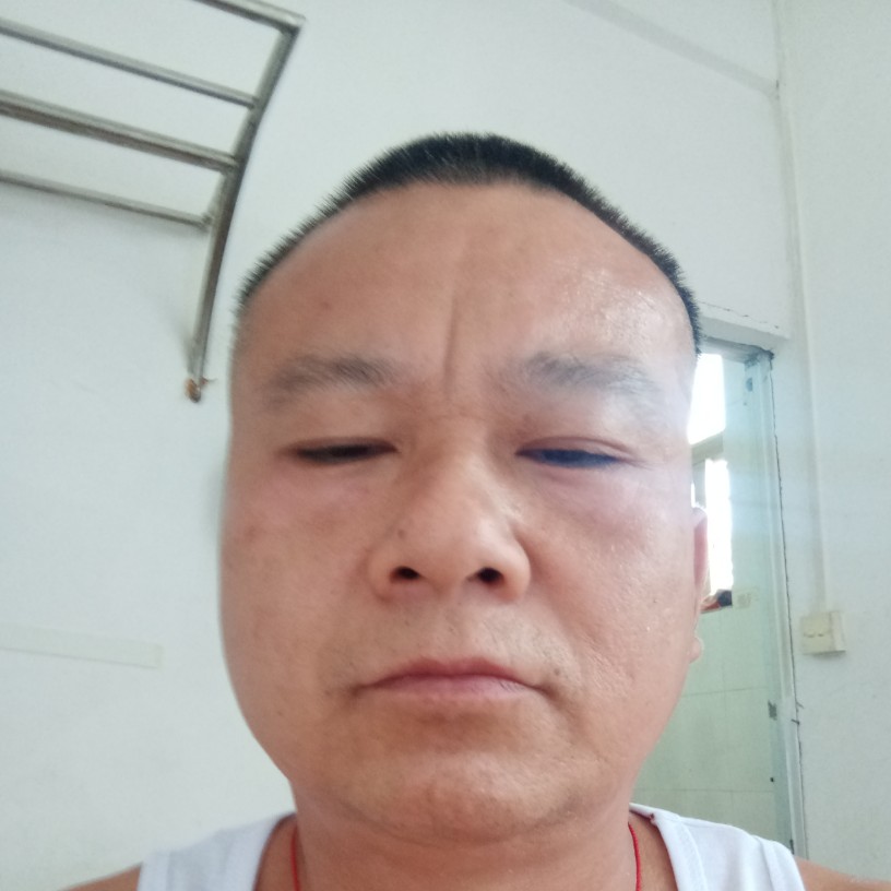 小鸽子多么激动的照片