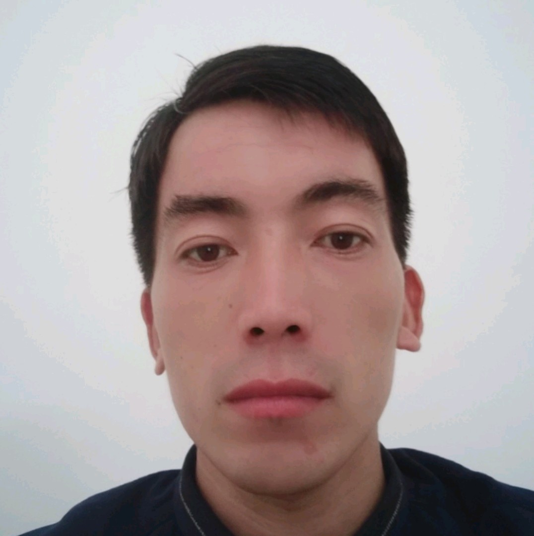 畅快迎飞鸟的照片