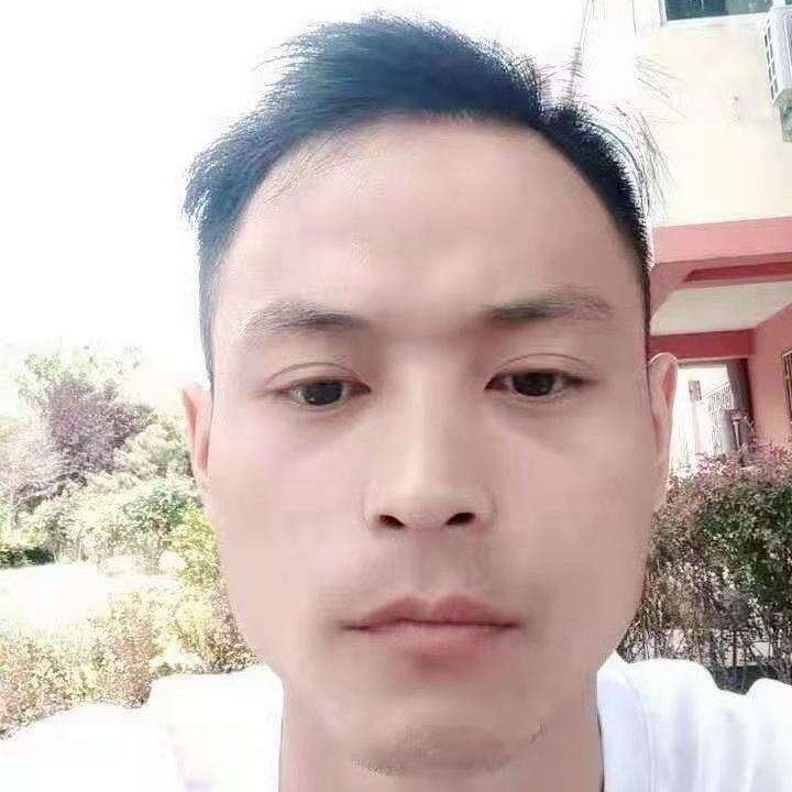 怕黑笑斑马的照片