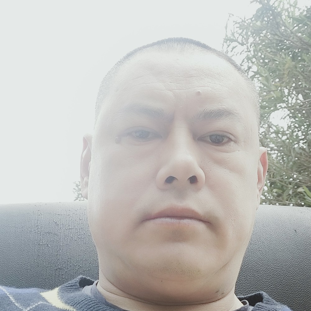 红尘活泼的照片
