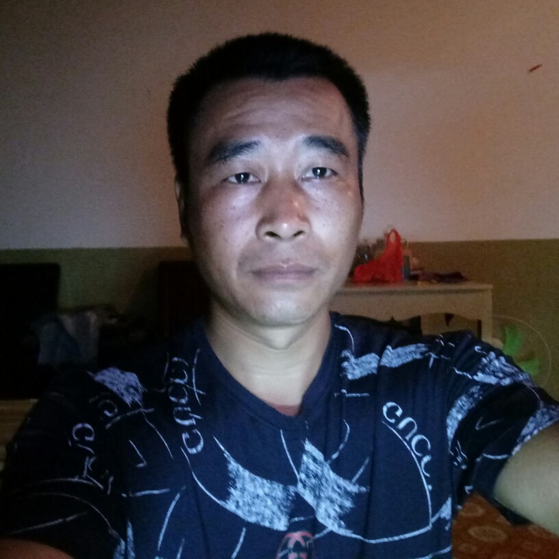 单身小刺猬的照片