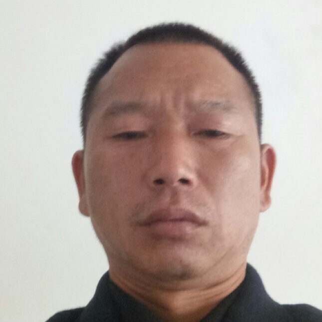 英勇自行车的照片