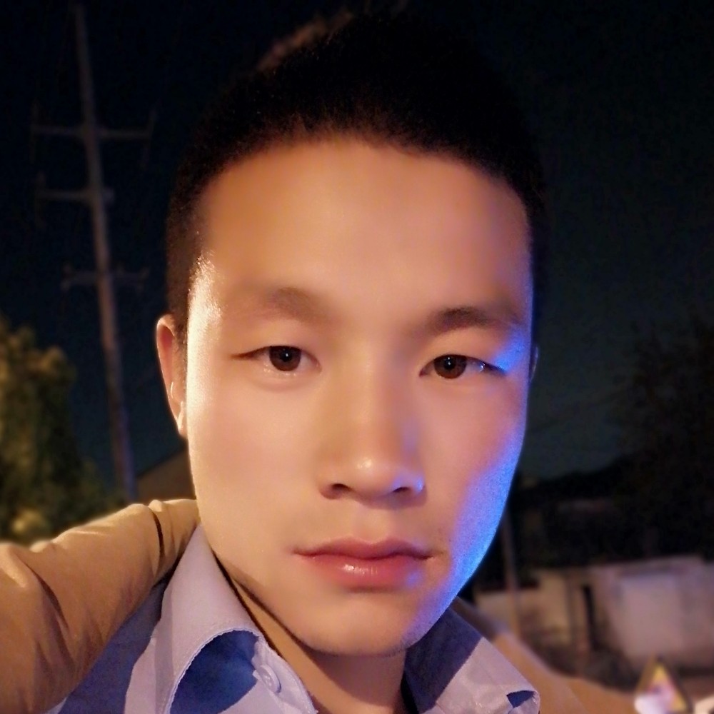 美丽鼠标的照片