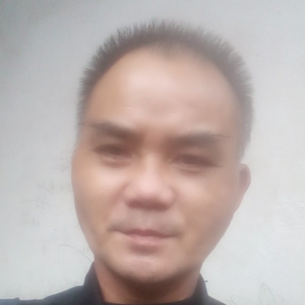 健忘与枫叶的照片