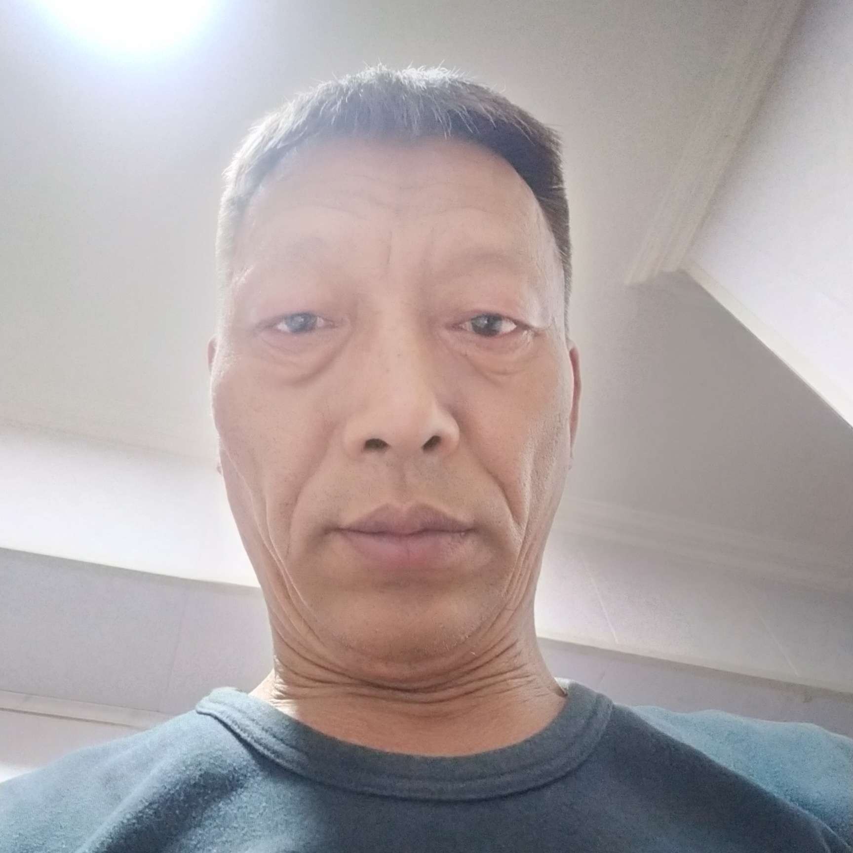 金毛还单身的照片