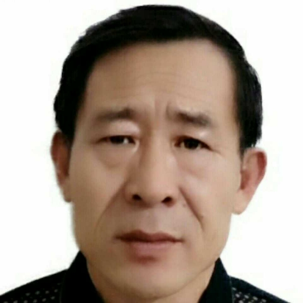 小鸽子从容的照片