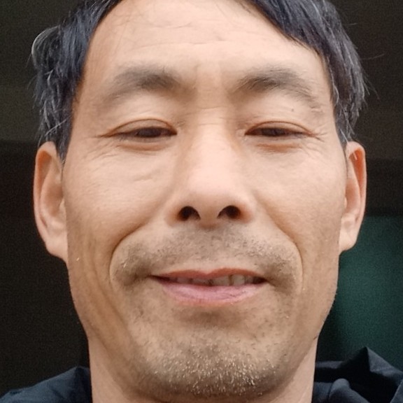 飞翔大鱼的照片