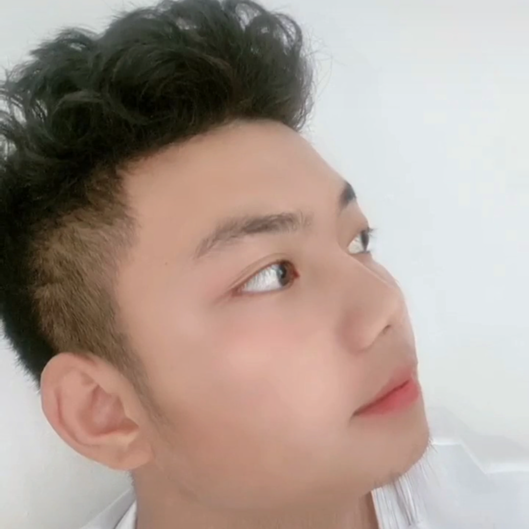 灰狼回眸诚心的照片