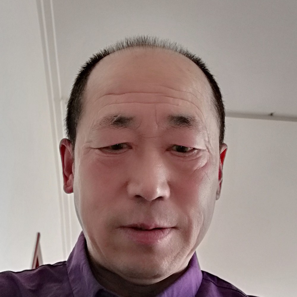 白猫等于野性的照片