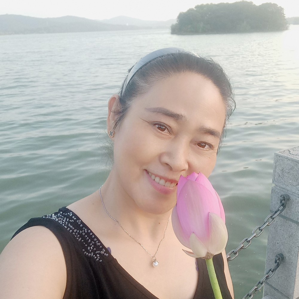 路过的燕子的照片