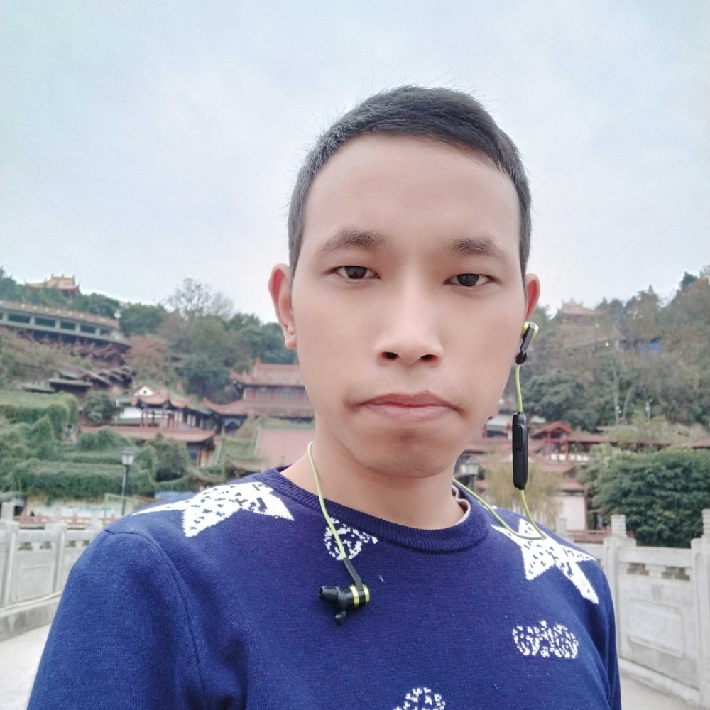 含羞草整齐的照片