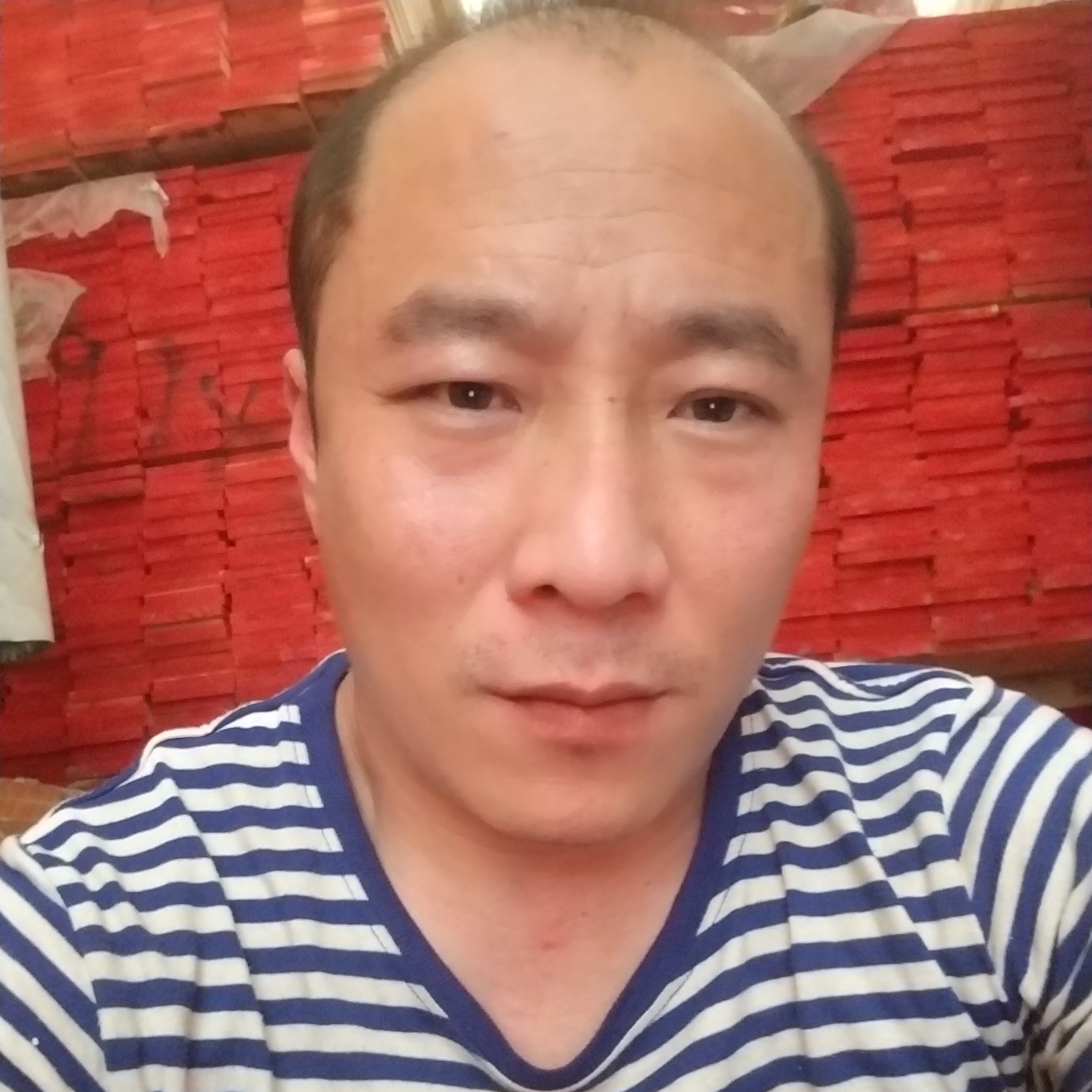 孤独方玫瑰的照片