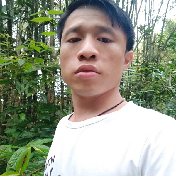 夕阳与贪玩的照片