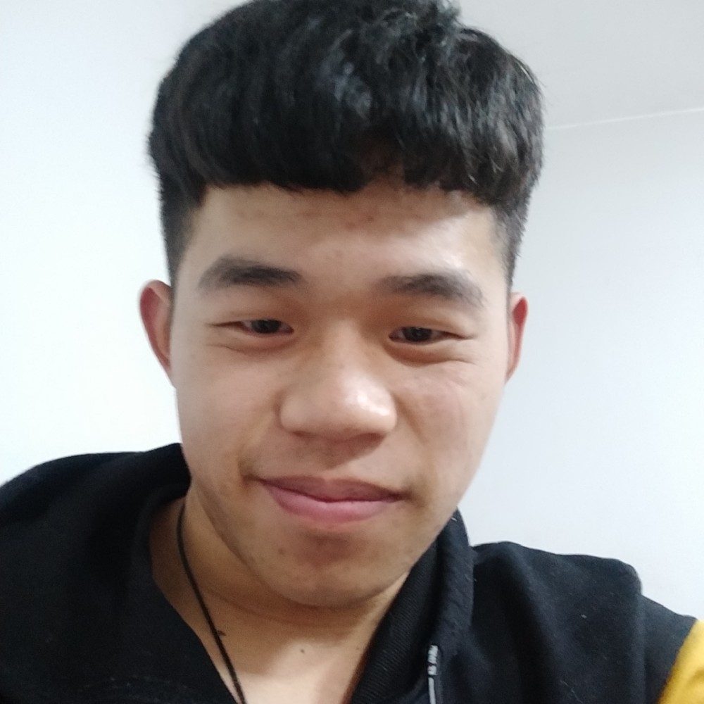 墨竹林的照片