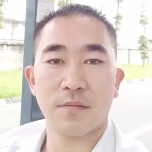 绚烂黑猫的照片