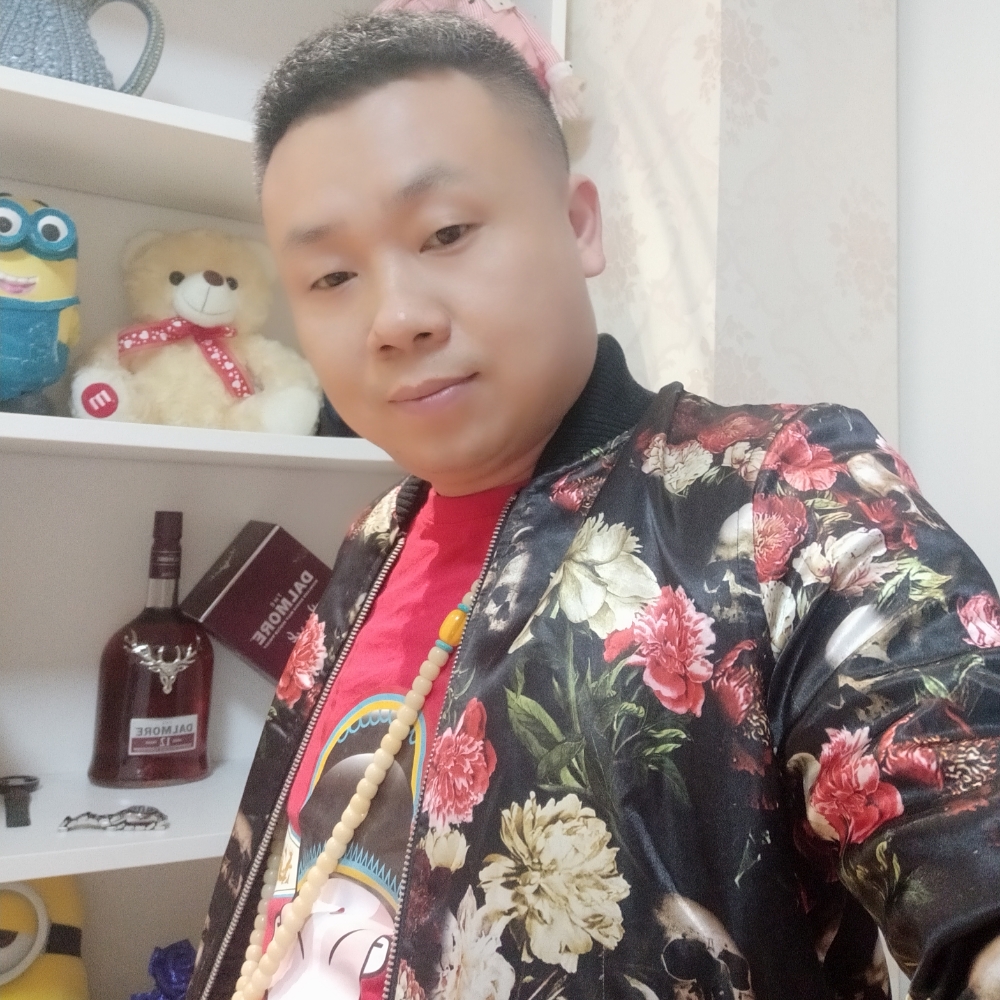 大雁迎机灵的照片
