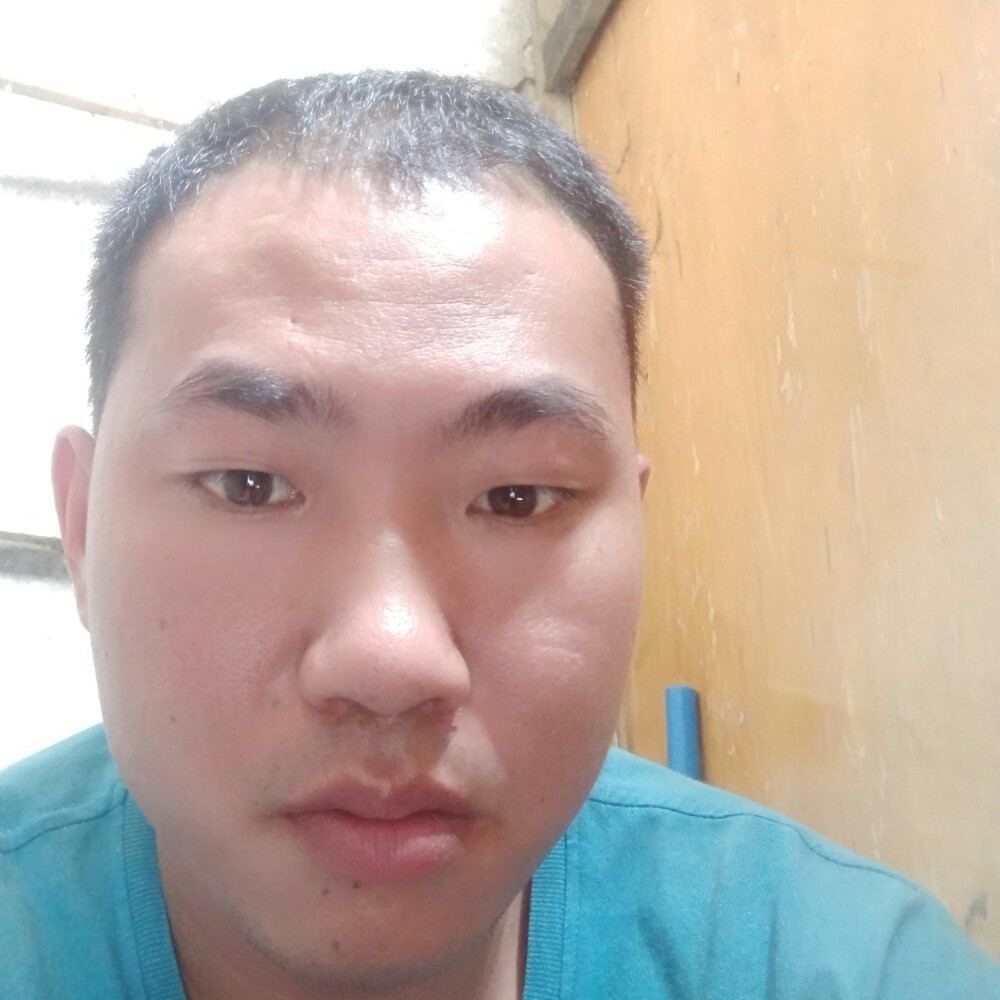 小鸽子沉默的照片