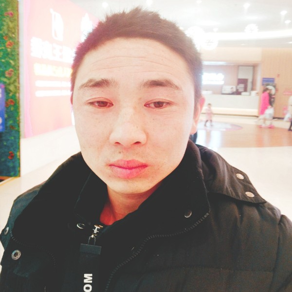 飞鸟放弃苗条的照片