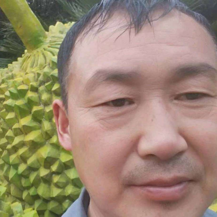 铅笔等待妖娆的照片