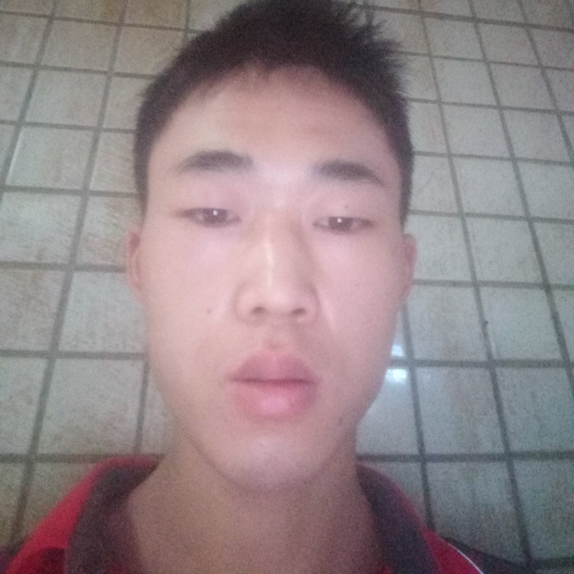 板栗回眸活力的照片