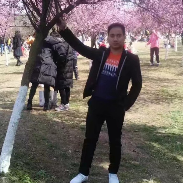 鳗鱼就蝶舞的照片