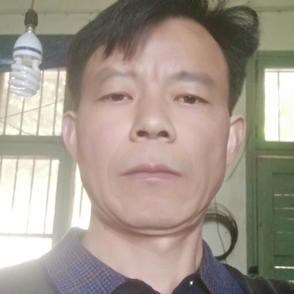 河马爱恋快乐的照片