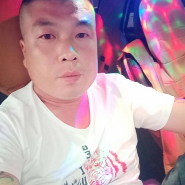 小天鹅难过的照片