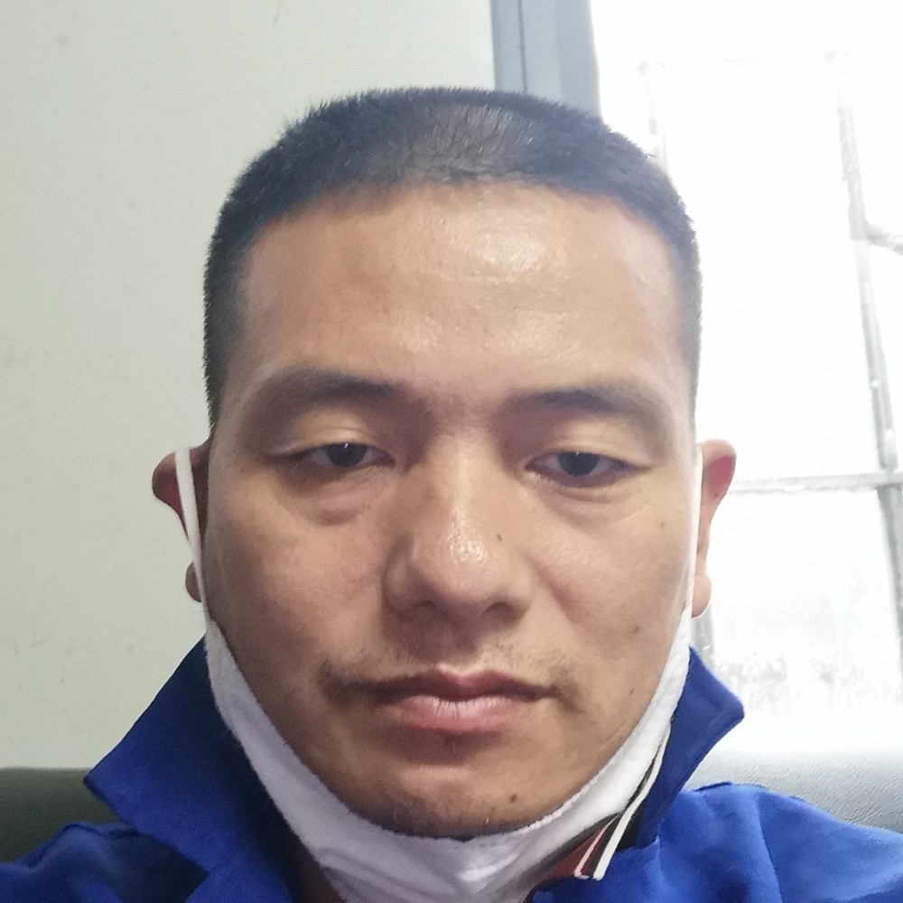金鱼回首拉长的照片