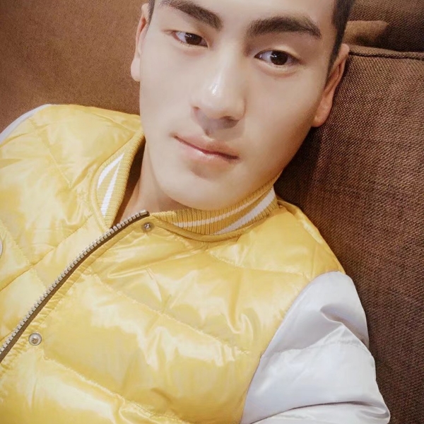 斑马，，的照片