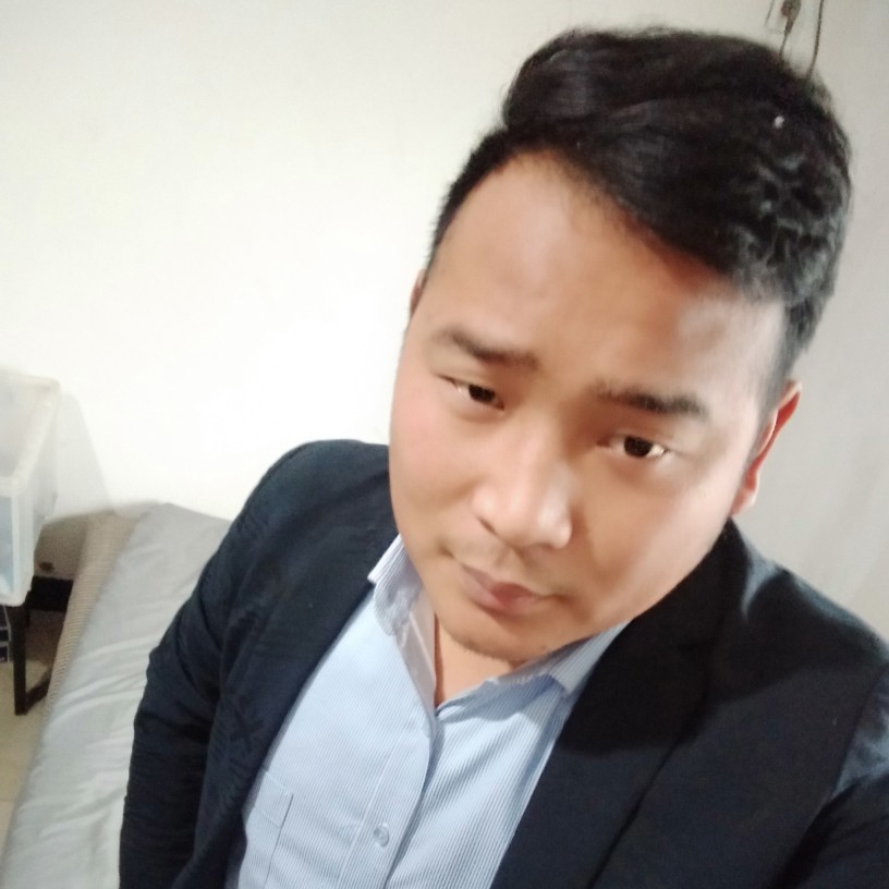 感情线上的鸵鸟的照片