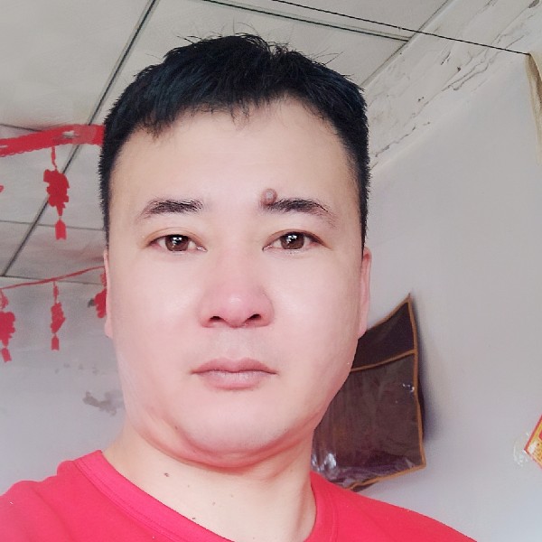 单身的蝶舞的照片