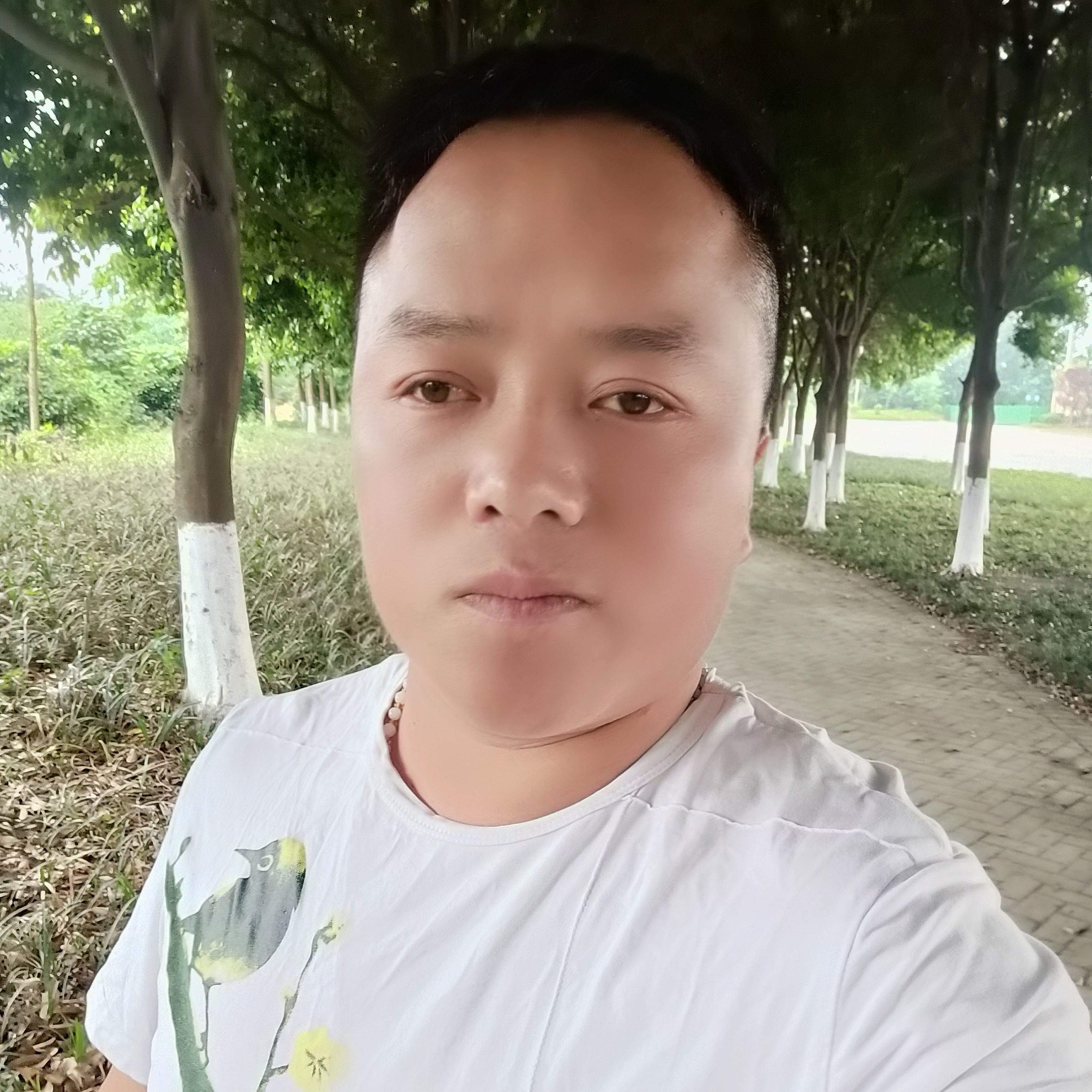 找个四川眉山老婆的照片